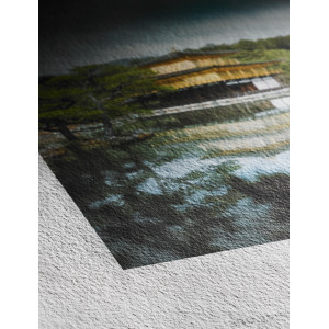 Sugar Cane 17"/431mm x 12m